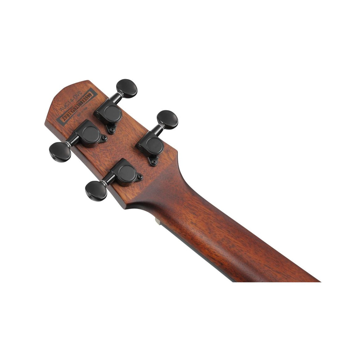 Ibanez Open Pore Ukulele with Gigbag - Violin Sunburst