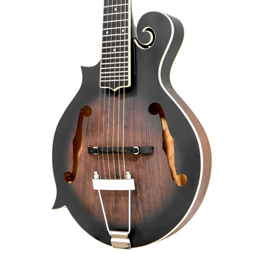 Gold Tone Gt F-Style Mando - Gtr Left-Handed W/Case