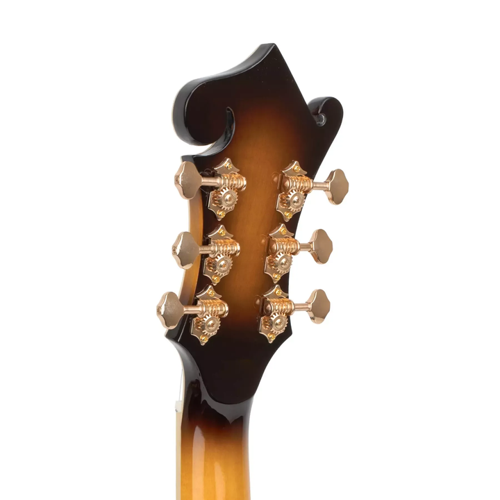 Gold Tone F-style Mando-Guitar with Pickup, Volume Control and Case
