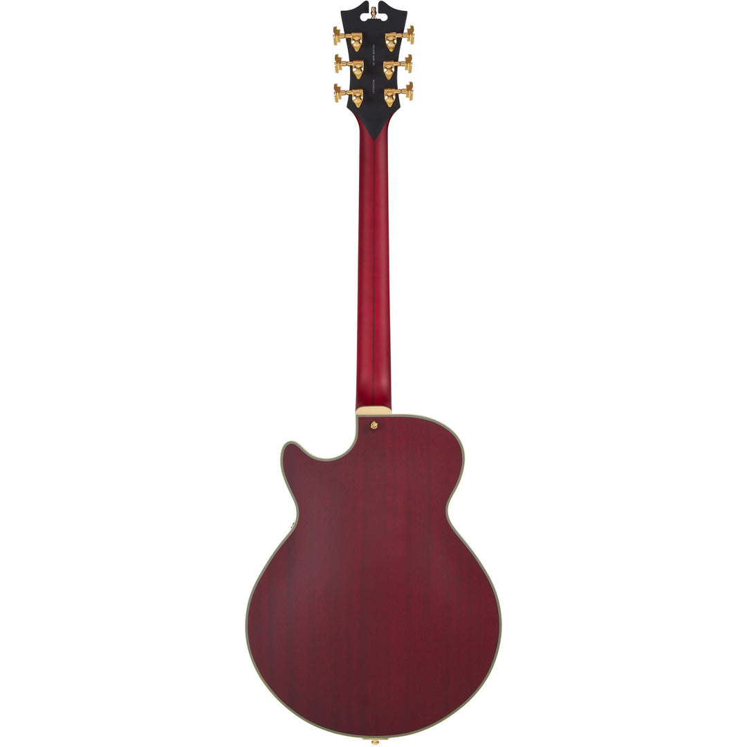 D'Angelico Single Cutaway