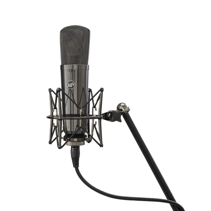 Warm Audio WA-87 R2 TS Limited-Edition Stereo Pair Large-Diaphragm Balanced Condenser Microphone - Titanium Finish