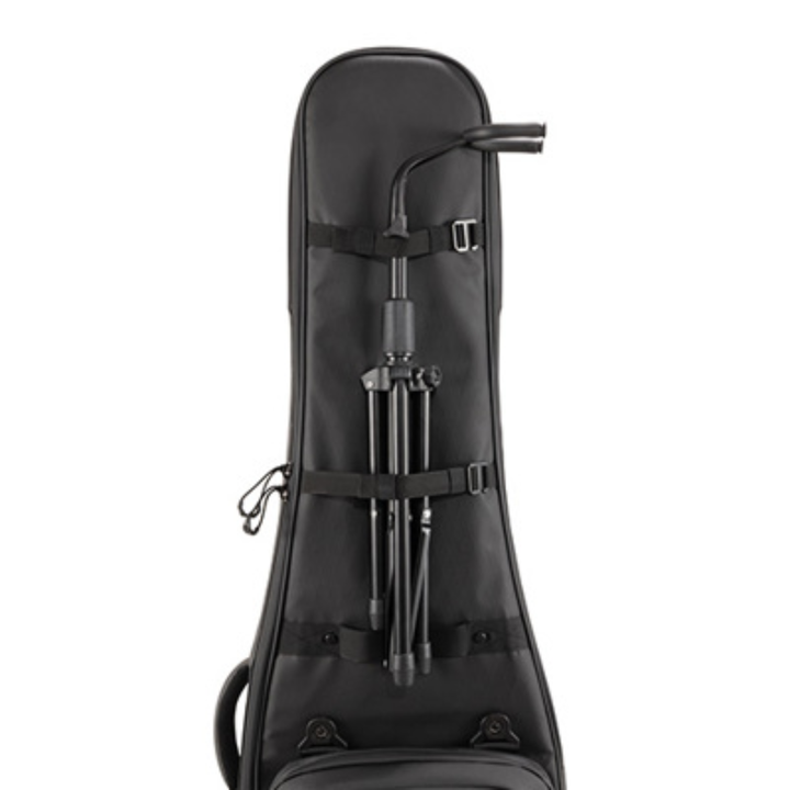 D'Addario PW-BLEBC-01 Backline Electric Bass Case