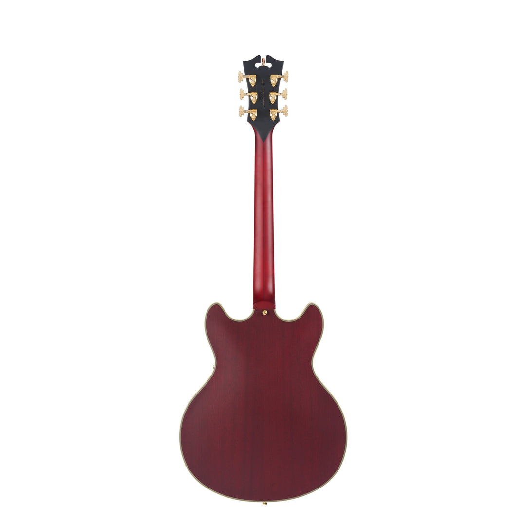 D'Angelico Double Cutaway