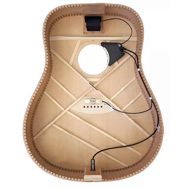 LR Baggs Tru-Mic W/Element+soundhole Preamp