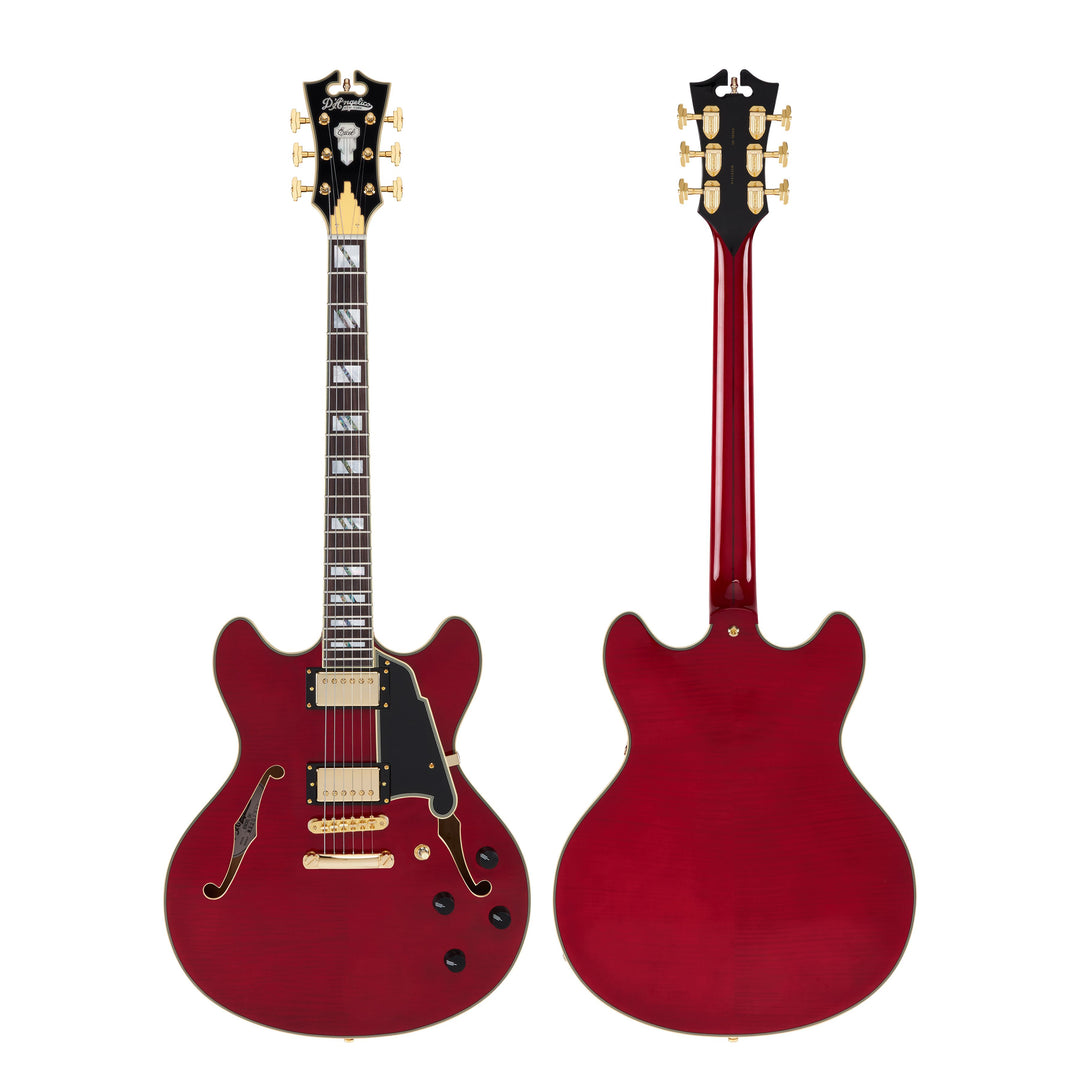D'Angelico  Double Cut Semi-Hollow