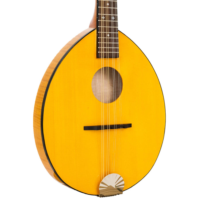Gold Tone Frypan Mandolin with Case