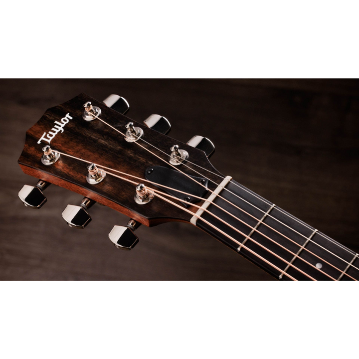 Taylor 314ce Studio Special Edition (SEB)