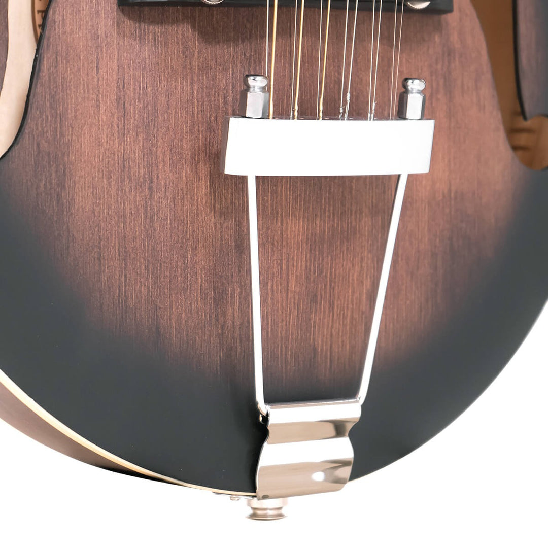 Gold Tone 12-string F-style Mando-Guitar with Pickup and Case