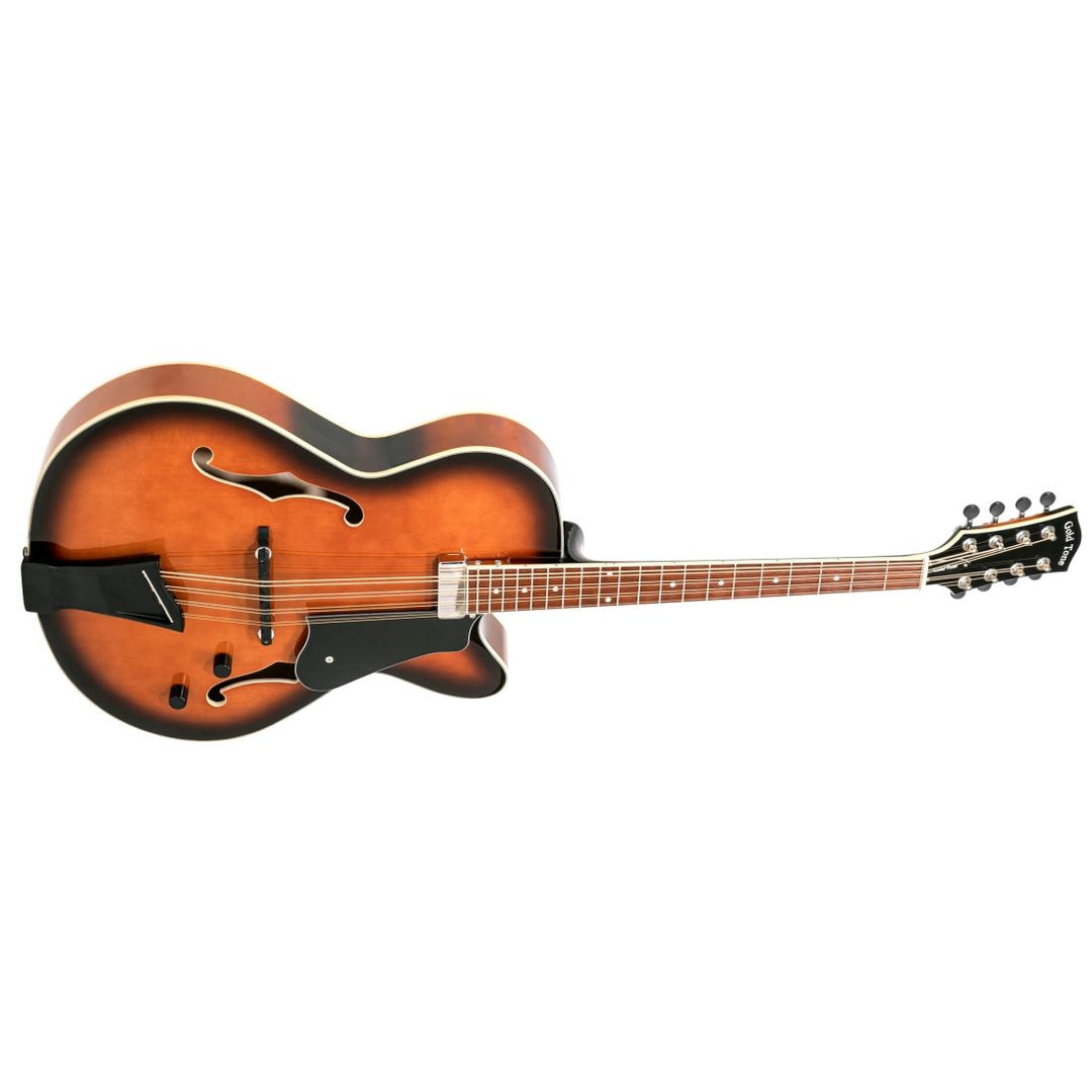 Gold Tone  Mandocello with Pickup and Case