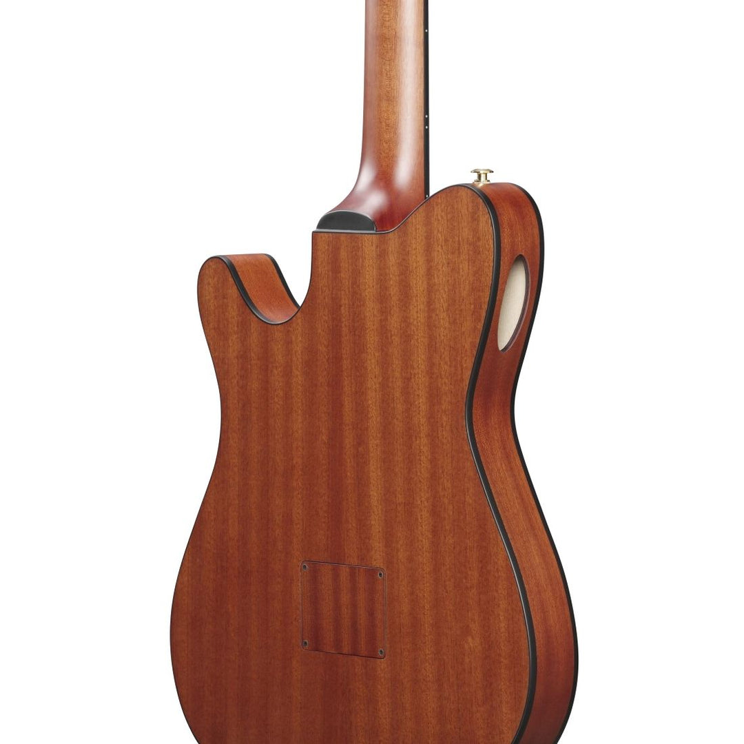 Ibanez FRH Acoustic/Electric (Rose Gold Metallic Flat) FRH10NRGF