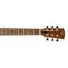 Epiphone Hound Dog Dobro - Round Neck