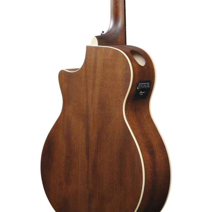 Ibanez Acoustic-Electric (Dark Tide Blue Flat) AE100DBF