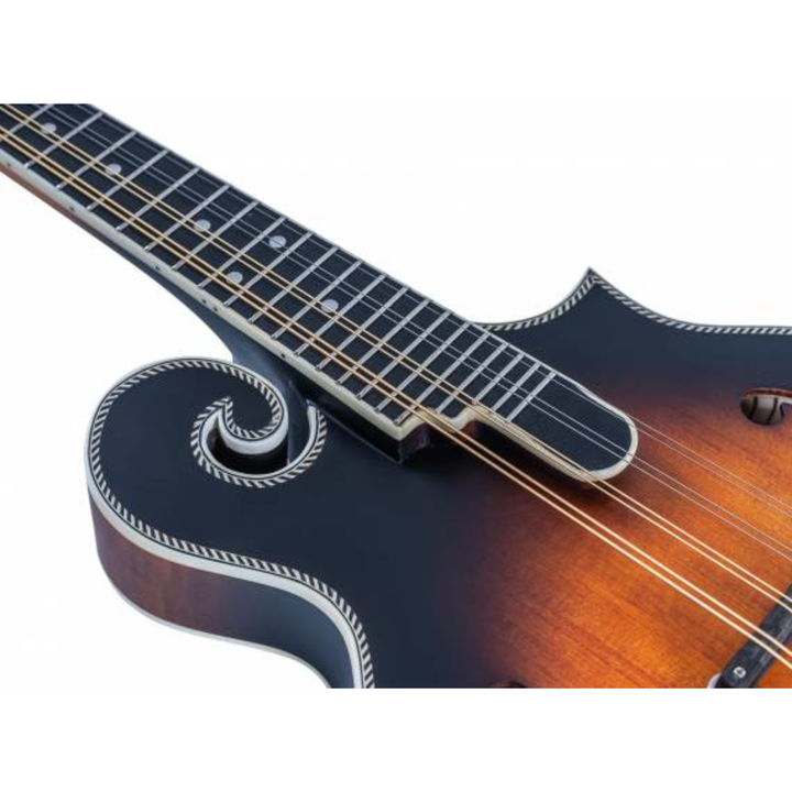 Washburn M3SEBRK Mandolin F Style
