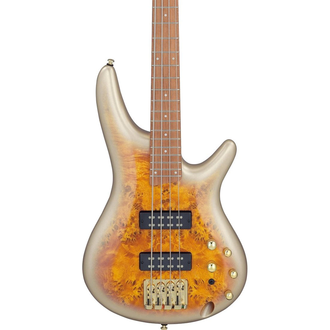 Ibanez SR Standard Bass (Mars Gold Metallic Burst)