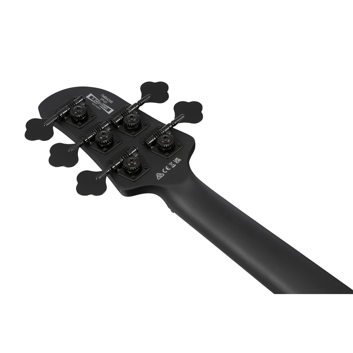 Ibanez Talman Standard 5-String Bass (Black Flat) TMB425BBKF