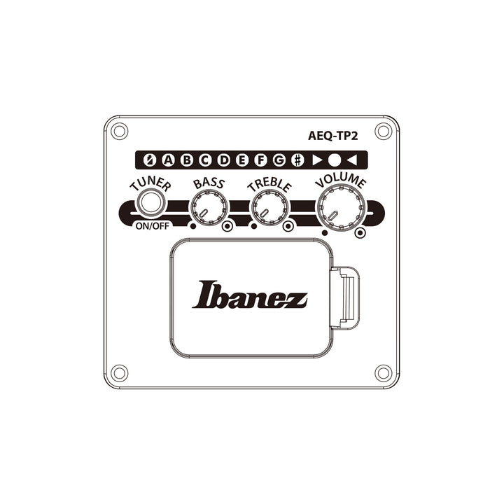 Ibanez Acoustic/Electric (Natural) TAE170NTR
