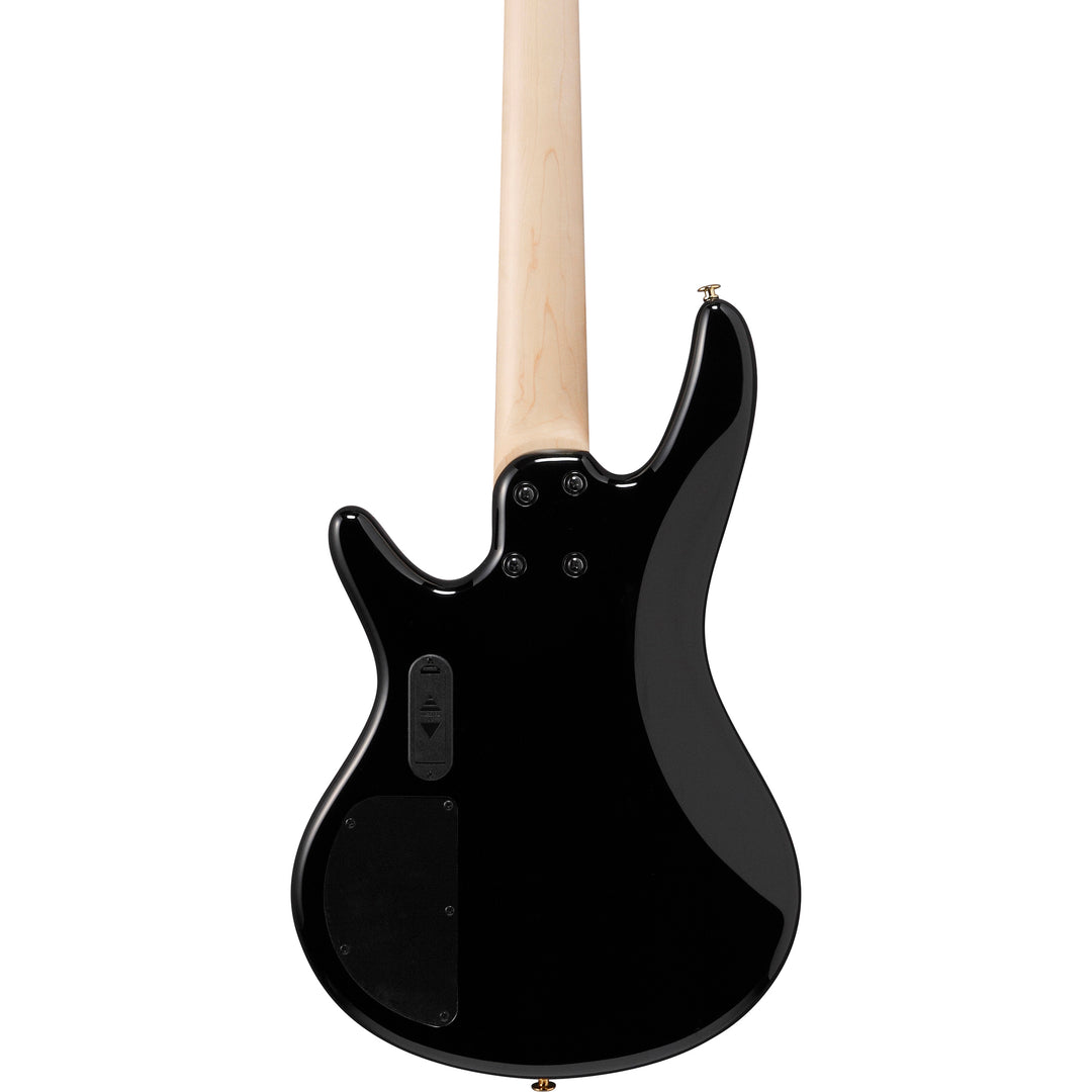 Ibanez Gio SR 5-String Bass (Transparent Pale Black Burst) GSR205PCTPB