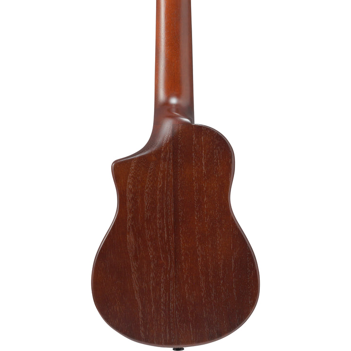 Ibanez AUP10NOLB Acoustic Guitar w/bag - Open Pore Light Brown Sunburst