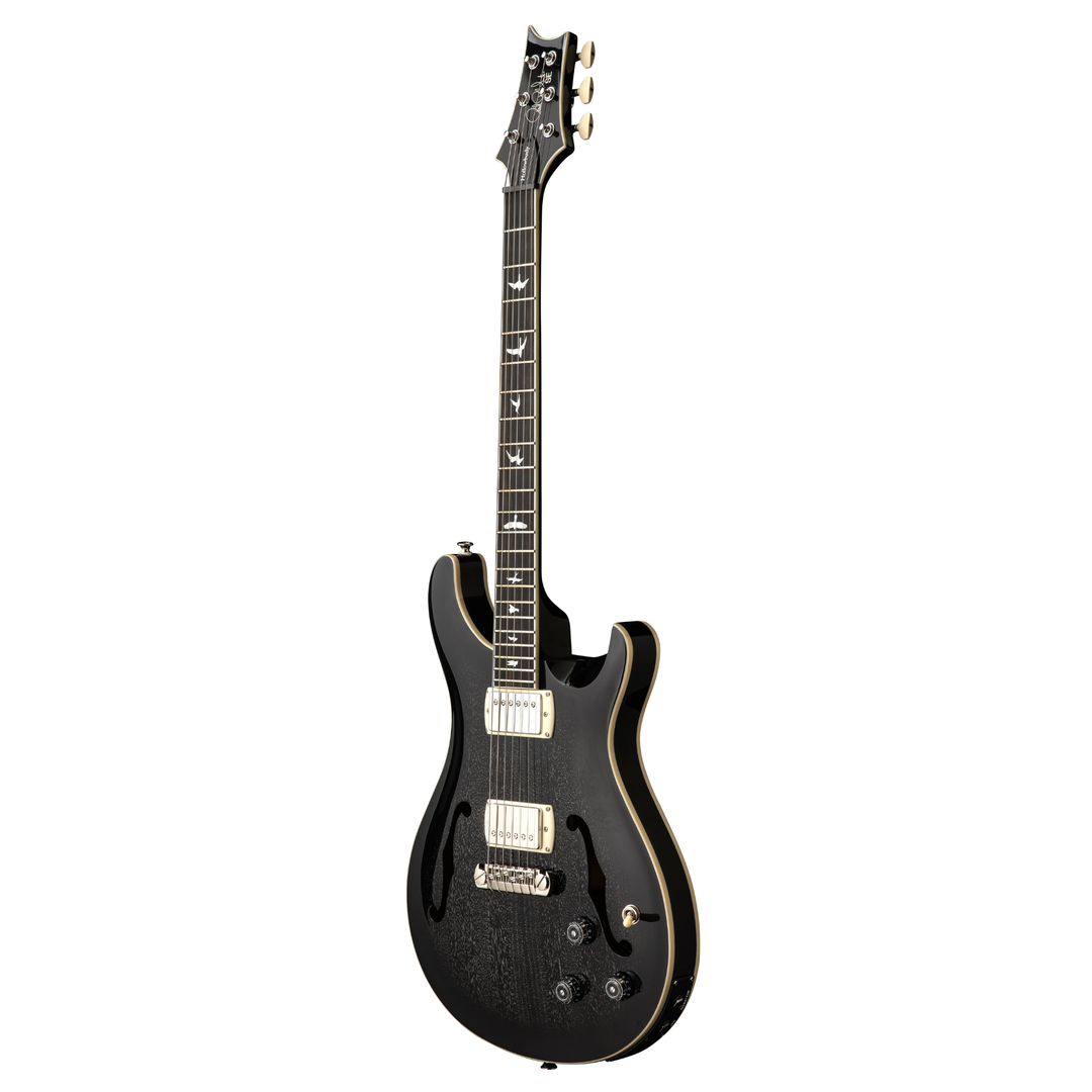 PRS SE Hollowbody Standard Piezo Electric Guitar (Dog Hair Smokeburst)  w/ Gigbag
