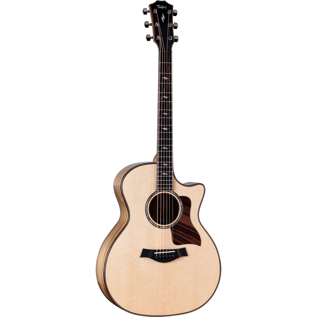 Taylor 814ce Special Edition Acoustic-Electric Guitar (Sassafras/Sitka Bearclaw Top)