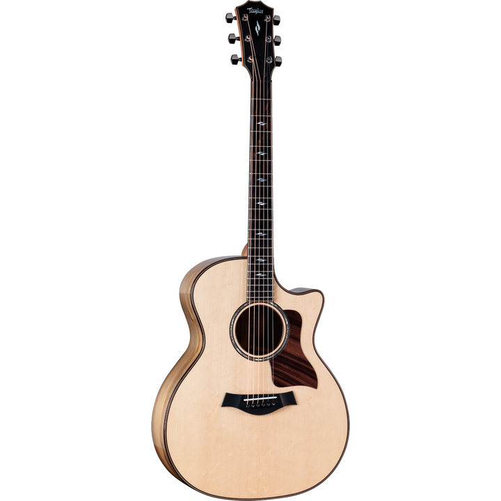 Taylor 814ce Special Edition Acoustic-Electric Guitar (Sassafras/Sitka Bearclaw Top)