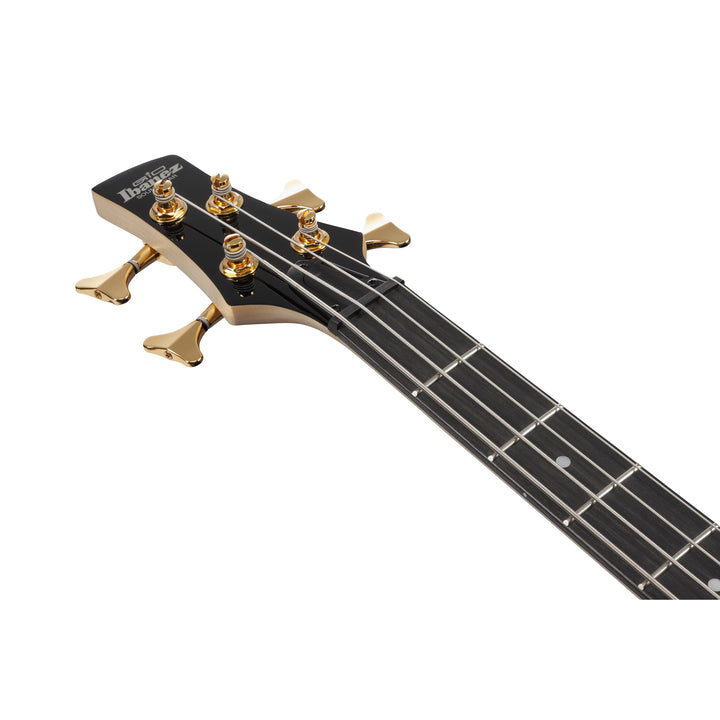 Ibanez Gio SR Bass (Transparent Marine Burst) GSR200PCTMU