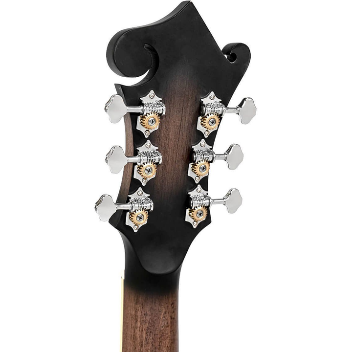 Gold Tone F-6 6-String F-style Mando-Guitar with Pickup and Case