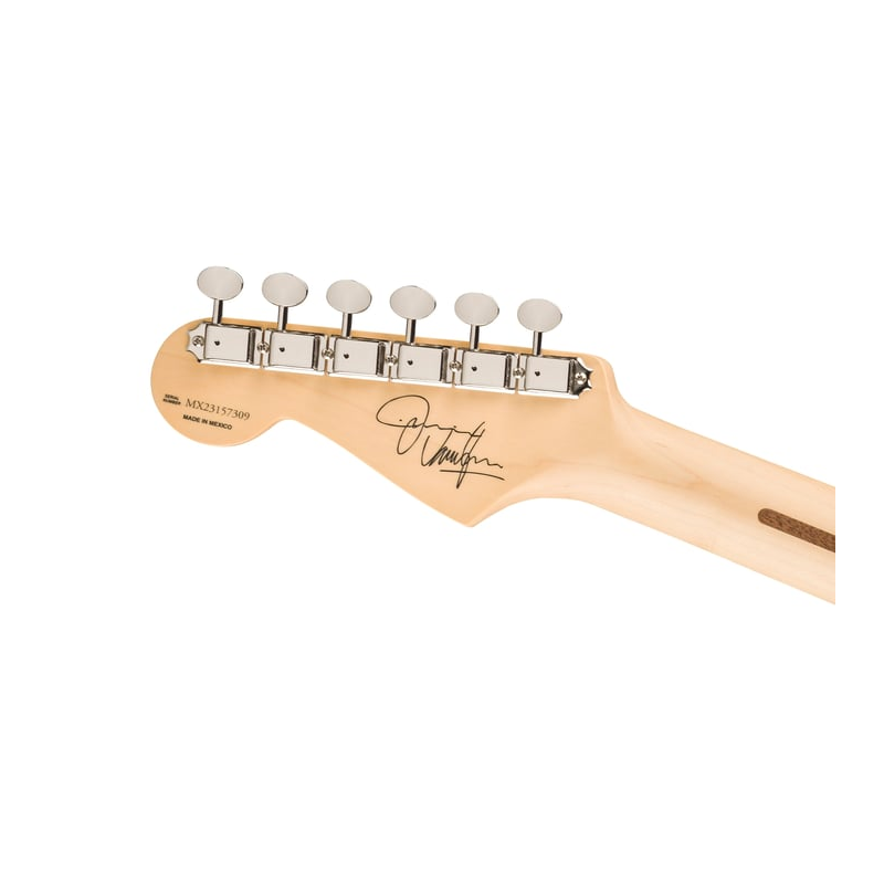 Fender Jimmie Vaughan Tex-Mex Strat, Maple Fingerboard (Olympic White)