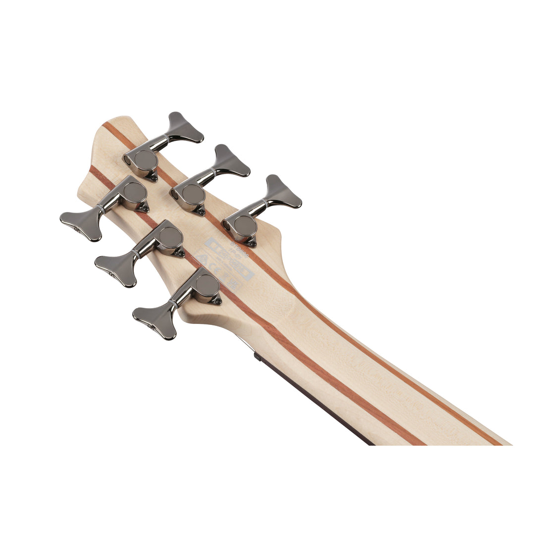 Ibanez BTB Standard 6 String Bass (Transparent Grey Flat) BTB606TGF