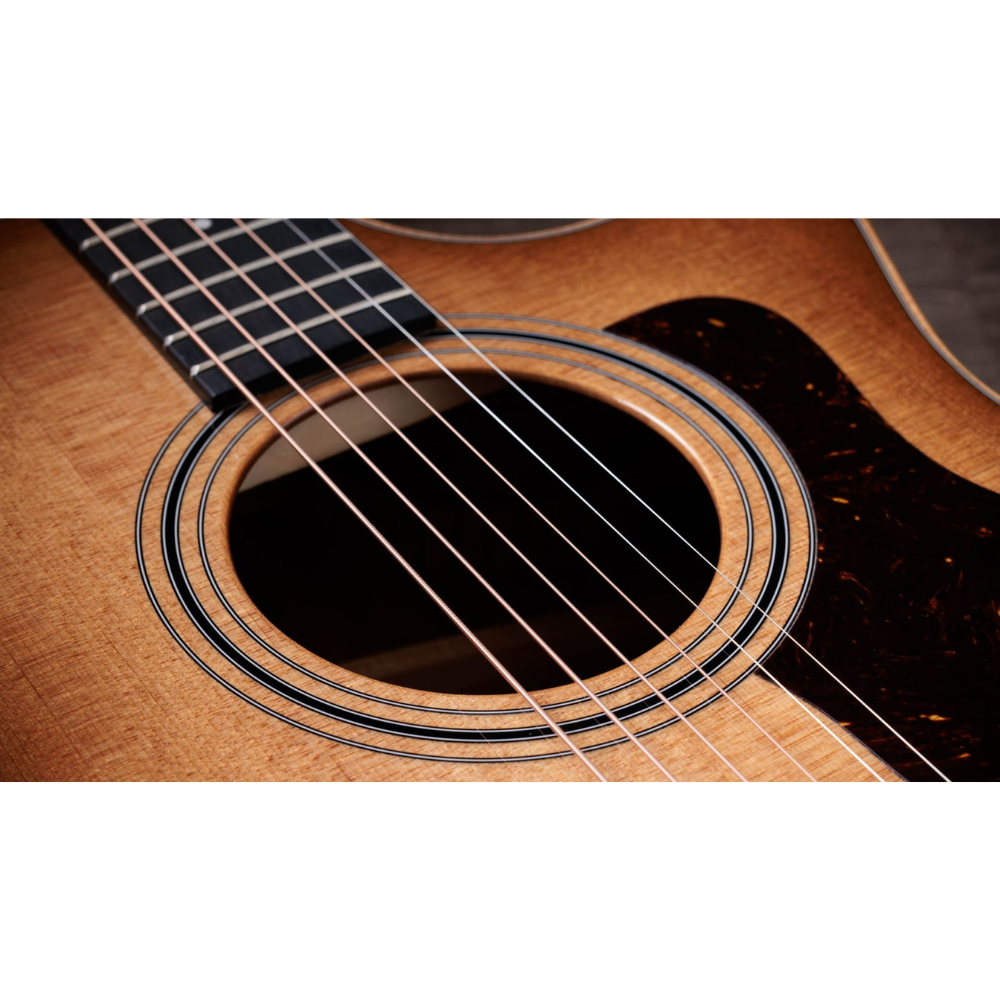Taylor 314ce Studio Special Edition (SEB)