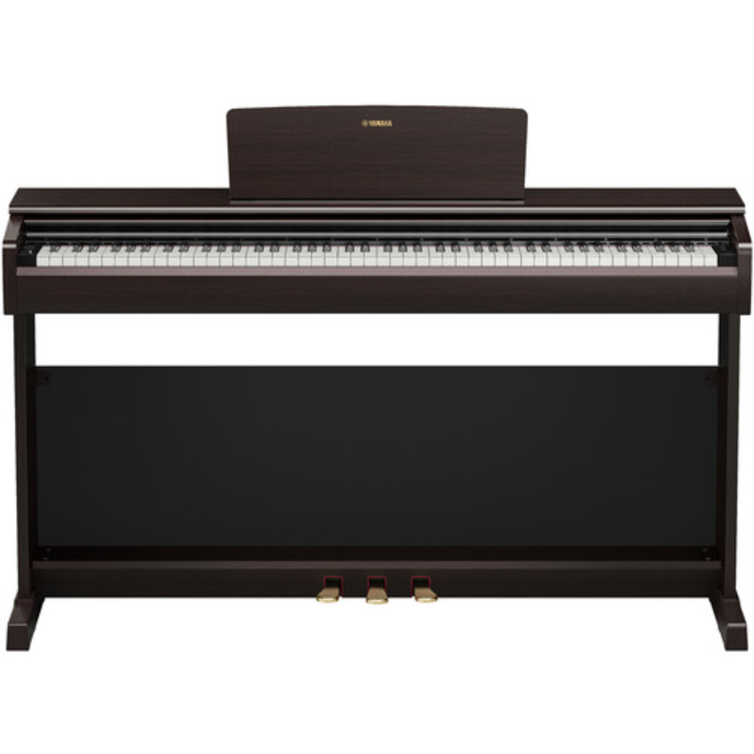 Yamaha YDP146 R 88-Key Dgital Piano (Rosewood)