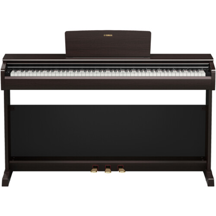Yamaha YDP146 R 88-Key Dgital Piano (Rosewood)