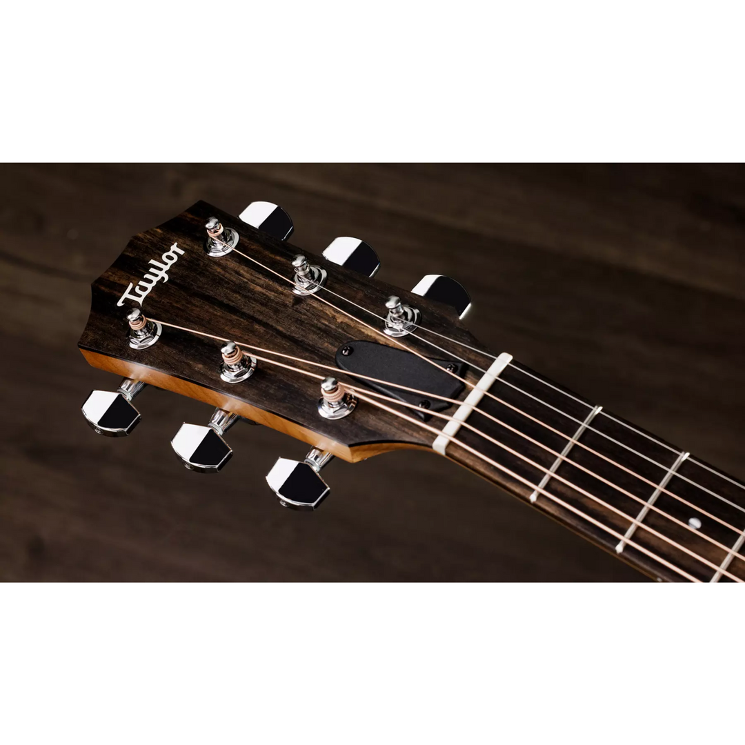 Taylor 110ce Acoustic Guitar