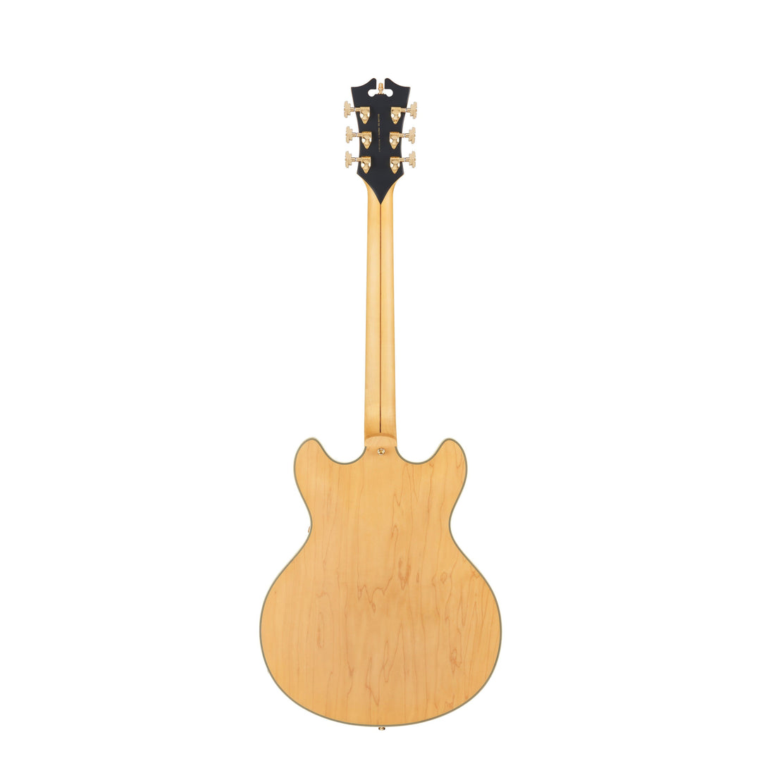 D'Angelico Double Cutaway