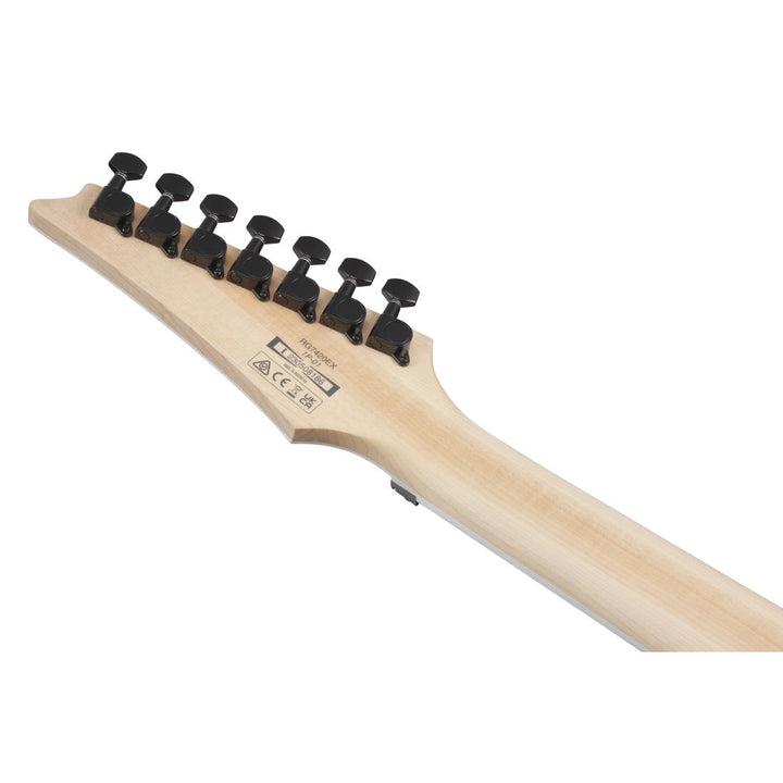 Ibanez RG Standard (Black Flat) RG7420EXBKF