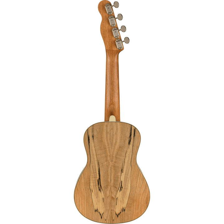 Fender Zuma Exotic Concert Ukulele  - Walnut Fingerboard  - Spalted - Maple
