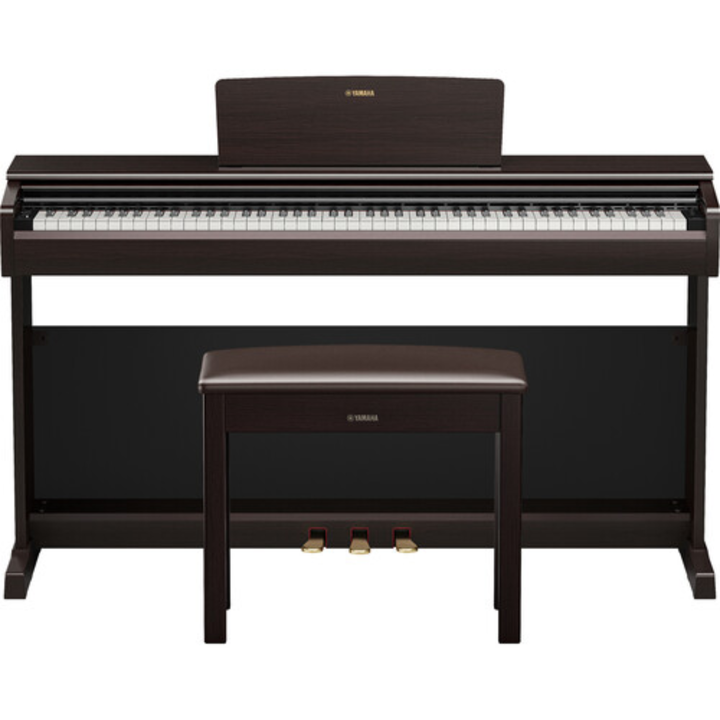 Yamaha YDP146 R 88-Key Dgital Piano (Rosewood)
