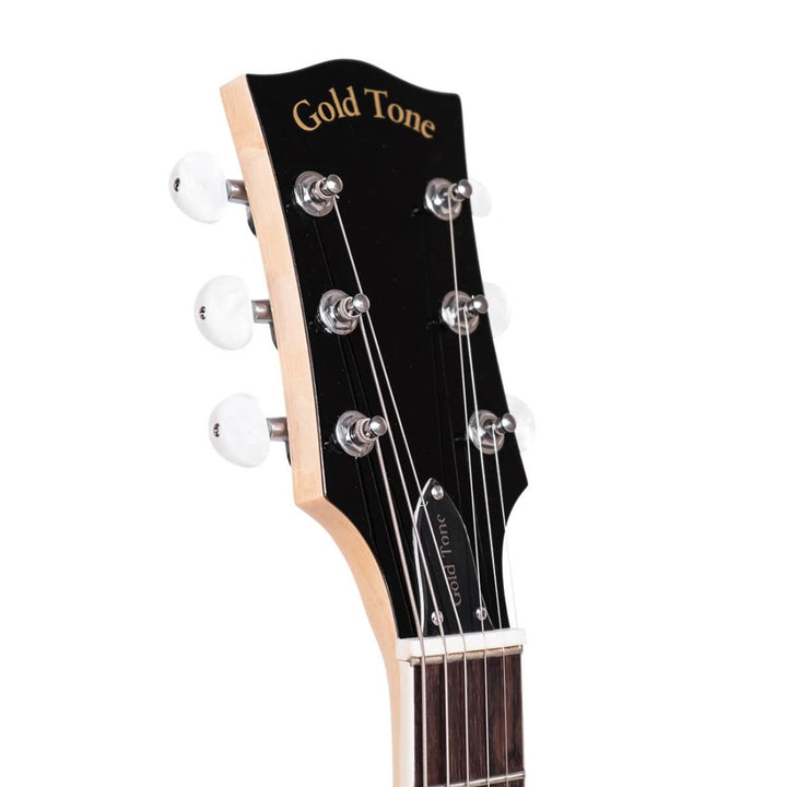 Gold Tone Banjitar Deluxe with Case
