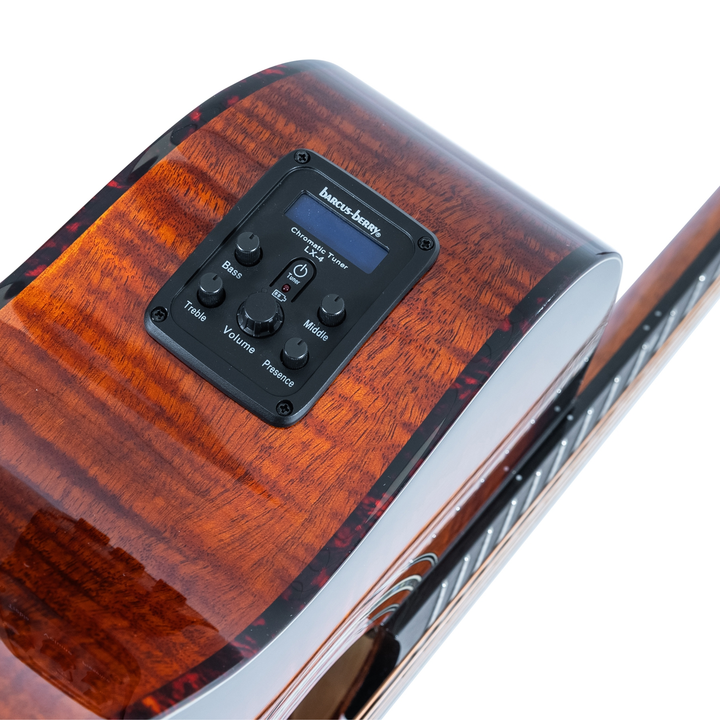 Washburn WCG12FCE Comfort Apprentice guitar