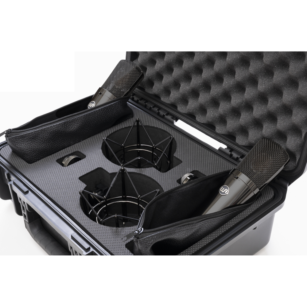 Warm Audio WA-87 R2 TS Limited-Edition Stereo Pair Large-Diaphragm Balanced Condenser Microphone - Titanium Finish