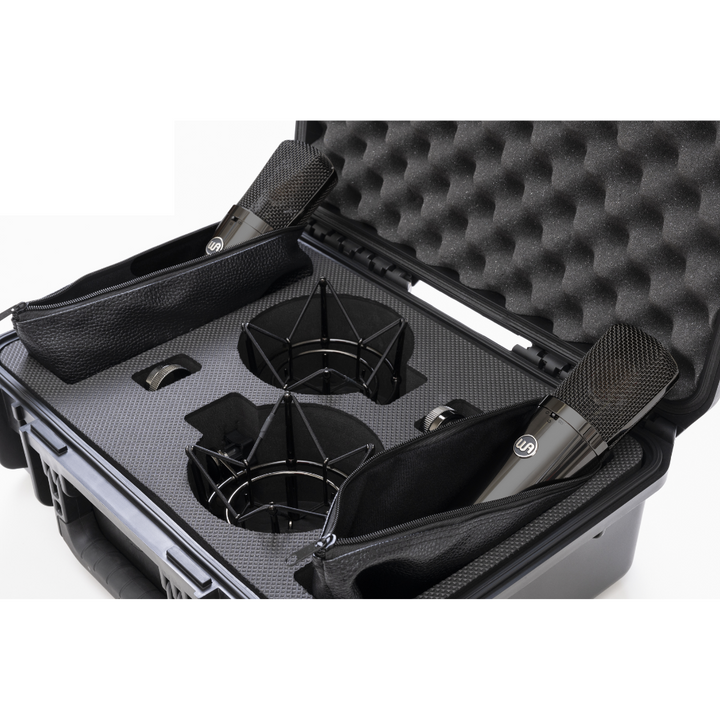 Warm Audio WA-87 R2 TS Limited-Edition Stereo Pair Large-Diaphragm Balanced Condenser Microphone - Titanium Finish