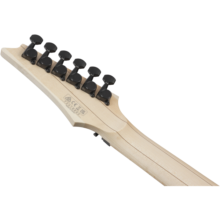 Ibanez RG Genesis Collection (Black) RG550BK