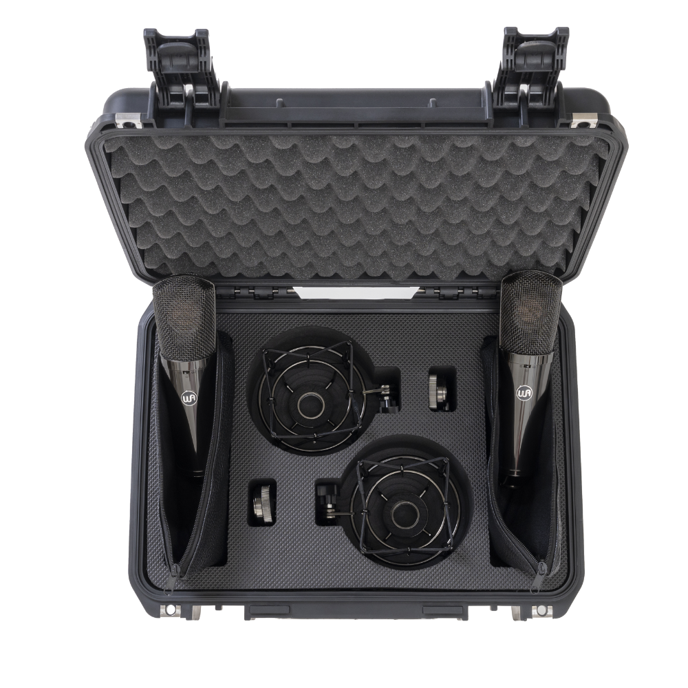 Warm Audio WA-87 R2 TS Limited-Edition Stereo Pair Large-Diaphragm Balanced Condenser Microphone - Titanium Finish