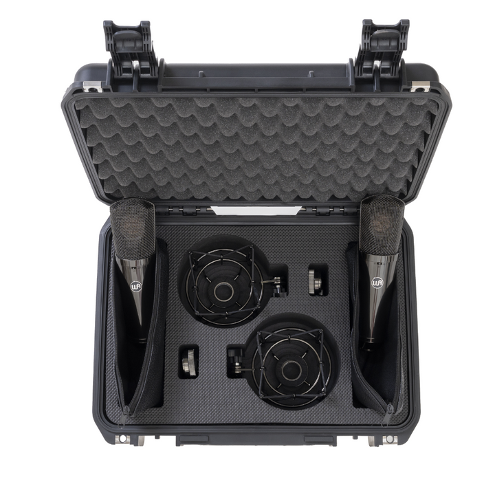 Warm Audio WA-87 R2 TS Limited-Edition Stereo Pair Large-Diaphragm Balanced Condenser Microphone - Titanium Finish
