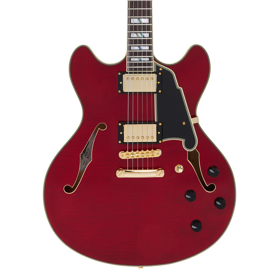 D'Angelico  Double Cut Semi-Hollow