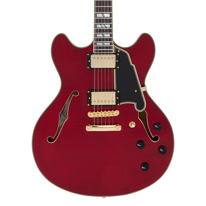 D'Angelico  Double Cut Semi-Hollow