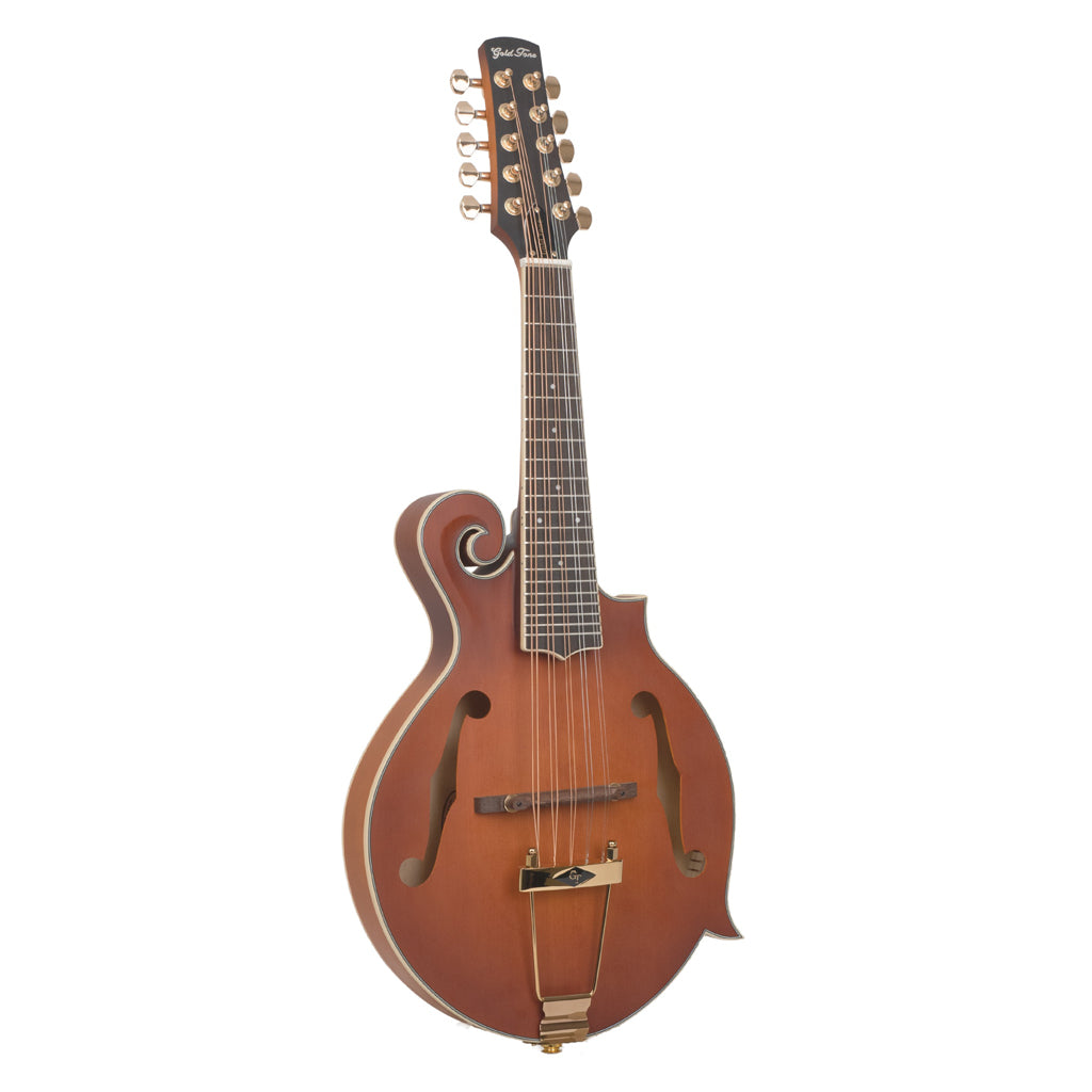Gold Tone 10-String F-Style Mandolin with Pickup and Case