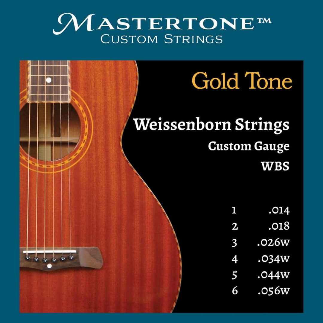 Gold Tone Weissenborn Strings
