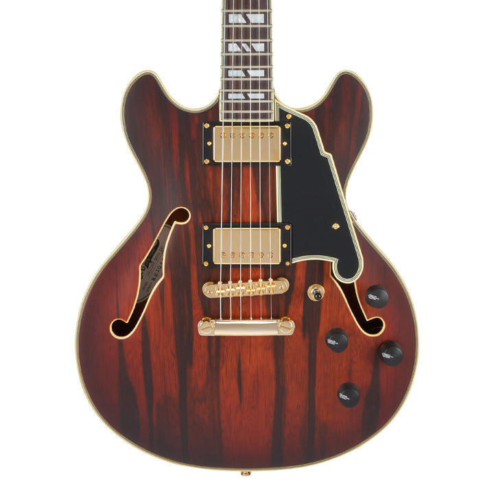 D'Angelico Mini Double Cutaway