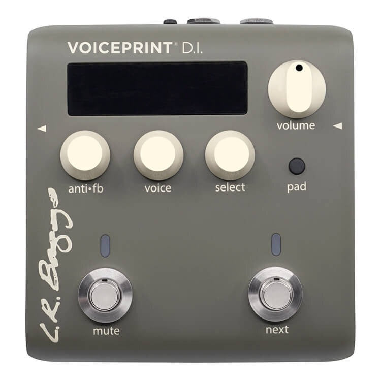 L.R Baggs Voiceprint DI Acoustic Guitar Impulse Response Pedal